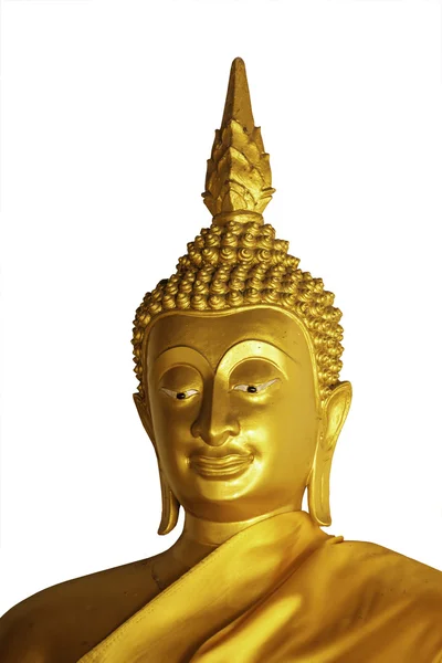 Buda Tapınağı Ayuttaya il Tayland at — Stok fotoğraf