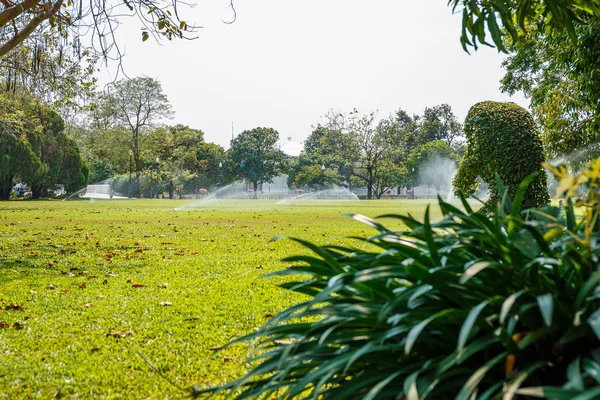 浇水草坪洒水 — 图库照片