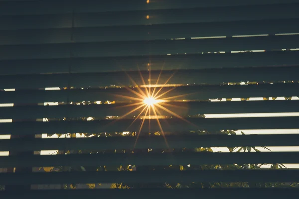 Sunlight through the blinds — Stock Photo, Image