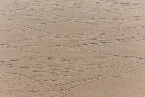 Sand beach background — Stock Photo, Image