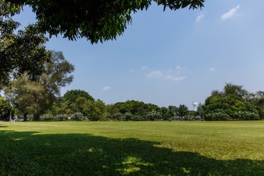 Mavi gökyüzü ile çim