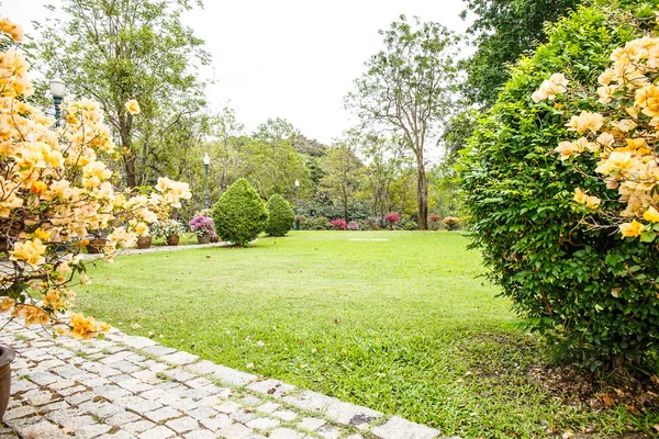 Lawn with blue sky — Stock Photo, Image