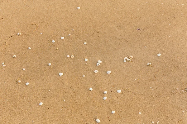 Sand beach background — Stock Photo, Image