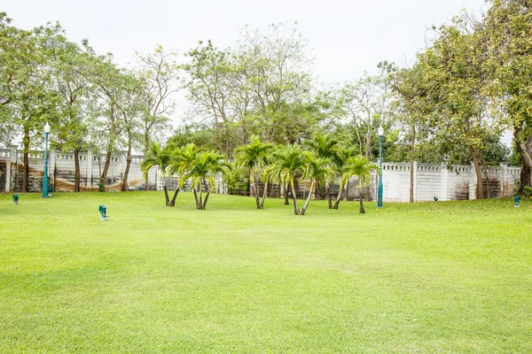 Lawn with blue sky — Stock Photo, Image