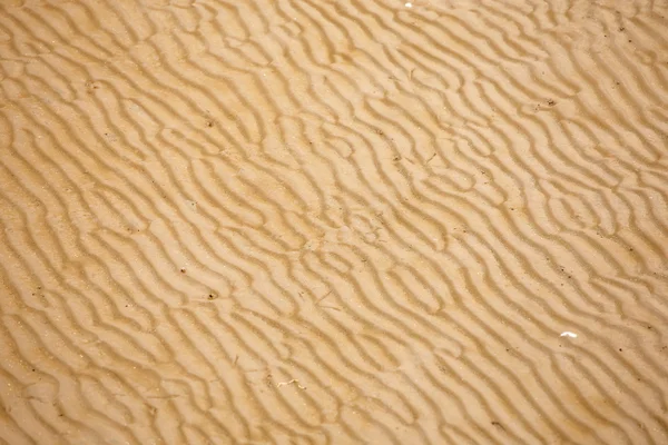 Ondulations de sable de plage — Photo