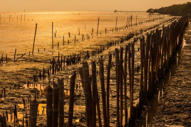 Bang kaka Tayland gün batımında