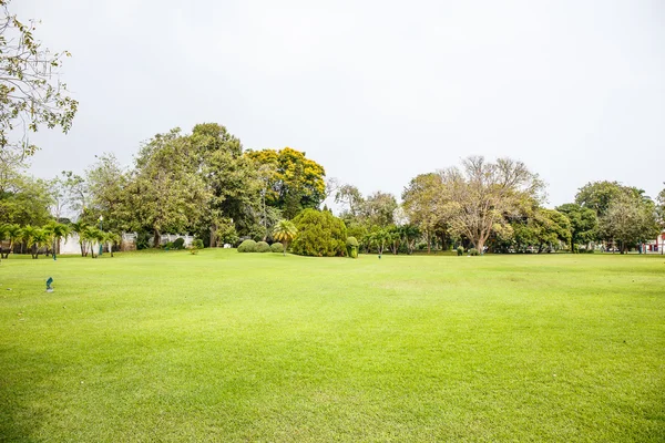 Lawn with blue sky — Stock Photo, Image