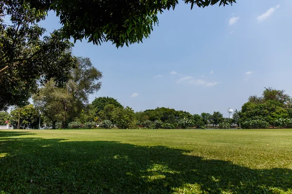 Césped con cielo azul — Foto de Stock