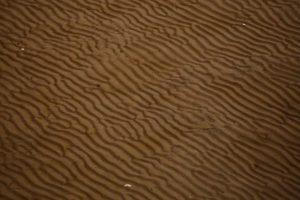 Beach sand ripples — Stock Photo, Image