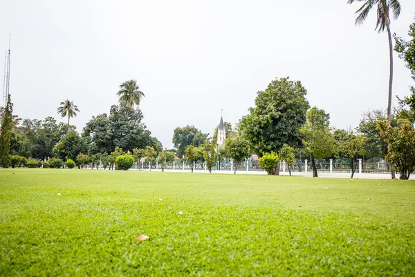 Grasveld in het park — Stockfoto