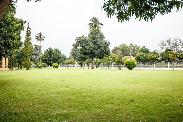 Césped en el parque — Foto de Stock