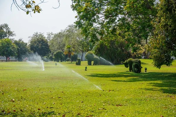 Sprinklerů zalévání trávníku — Stock fotografie