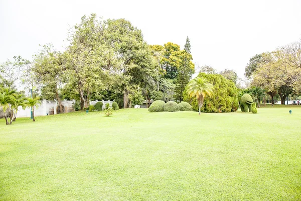 Lawn with blue sky — Stock Photo, Image