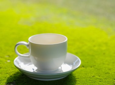 Moss yüzeyindeki kahve fincanı