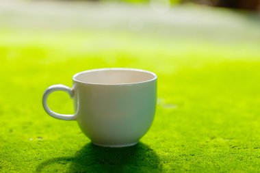 Moss yüzeyindeki kahve fincanı