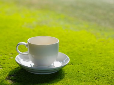 Moss yüzeyindeki kahve fincanı