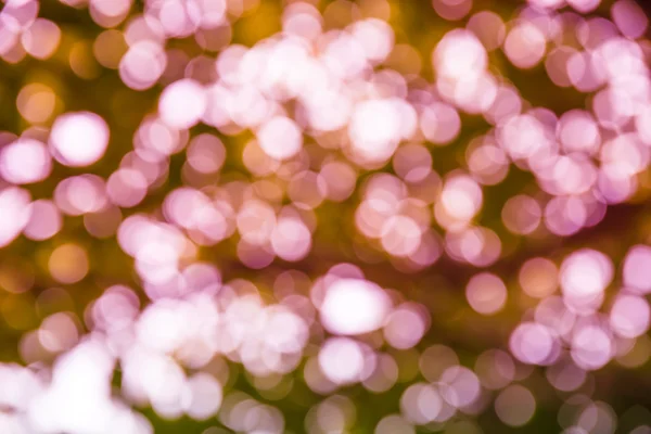 Bokeh light out of focus background