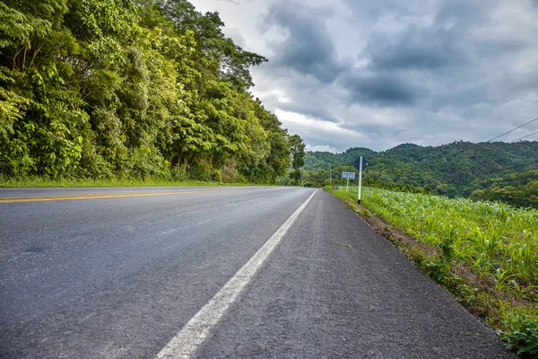 Road vehicles with trees — Stock Photo, Image