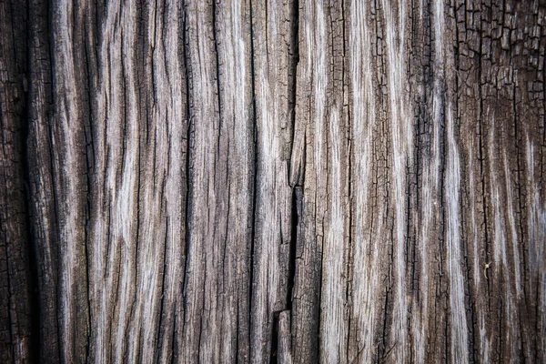 Old wood background — Stock Photo, Image