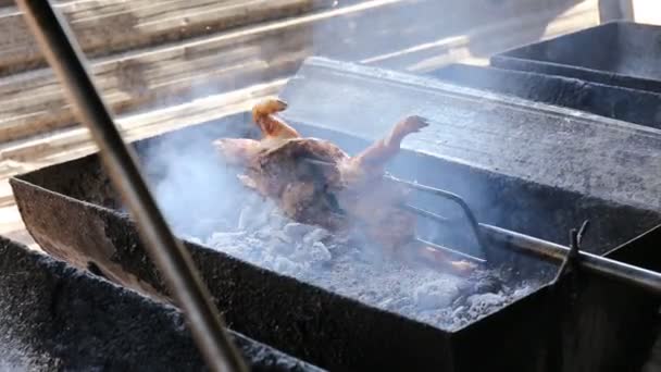 Кормящая свинья-барбекю — стоковое видео