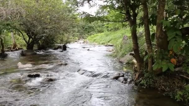Cours d'eau forestier en Thaïlande 