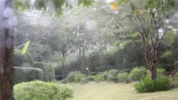 雨在泰国公园 — 图库视频影像