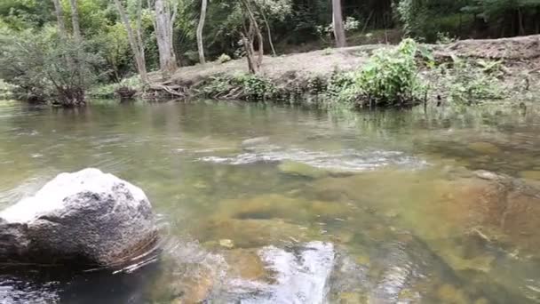 Fluxo florestal que corre na Tailândia — Vídeo de Stock