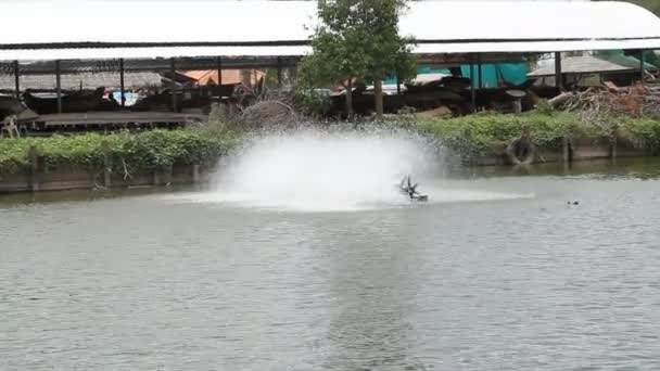 Водяные турбины вращаются в парке — стоковое видео