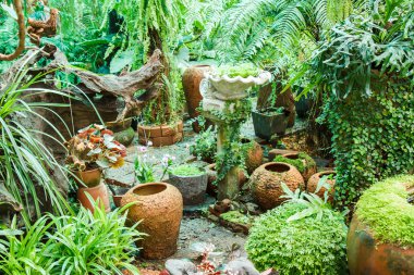 moss ile Bahçe saksı.