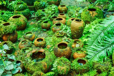 Pots in the garden with moss. clipart