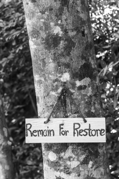 Zeichen für Wiederherstellung am Baum bleiben — Stockfoto