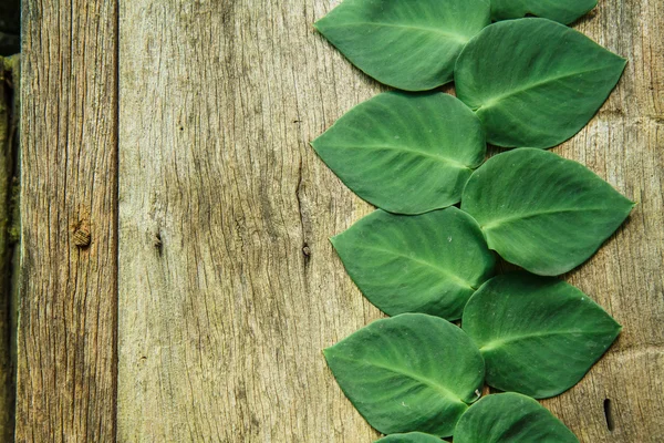 Hoja en forma de corazón sobre madera — Foto de Stock