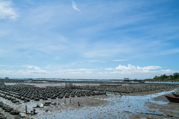 Oyster gård Ban Ang Sila, Thailand — Stockfoto