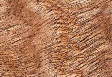 ahşap doku arkaplanı