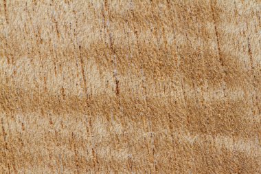 ahşap doku arkaplanı