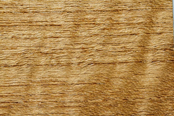 Wood texture background — Stock Photo, Image