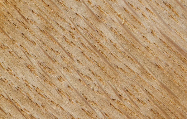 Textura de madera fondo —  Fotos de Stock