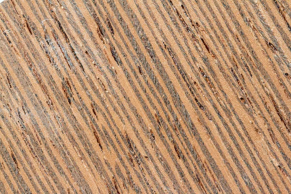 Wood texture background — Stock Photo, Image