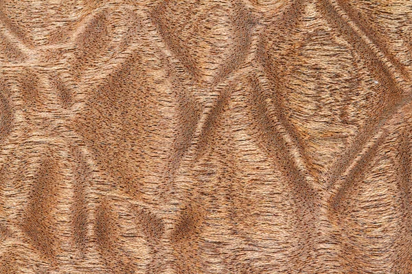 Wood texture background — Stock Photo, Image