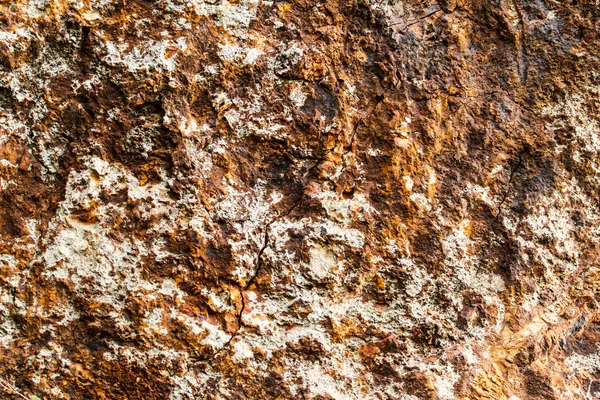 Stone texture background — Stock Photo, Image