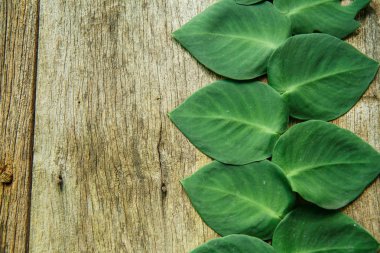 ağaç yaprağı şeklinde kalp