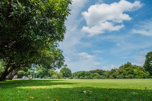 Wiese mit Himmel im Hintergrund. — Stockfoto