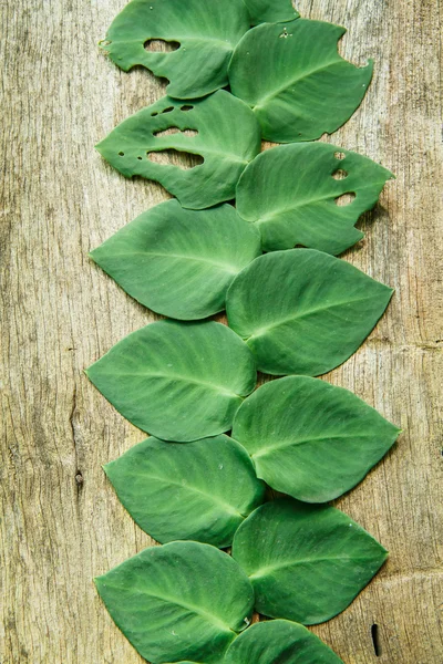 Hoja en forma de corazón sobre madera — Foto de Stock