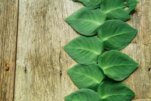 Hoja en forma de corazón sobre madera — Foto de Stock