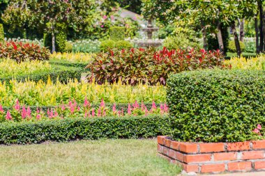 Bahçedeki çiçekler