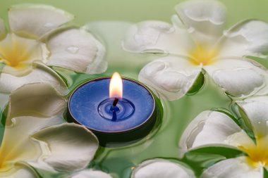 Plumeria çiçek kokulu mumlar
