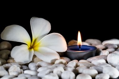 Plumeria çiçek kokulu mumlar