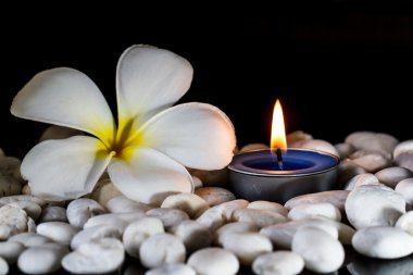 Plumeria çiçek kokulu mumlar