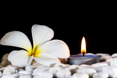 Plumeria çiçek kokulu mumlar