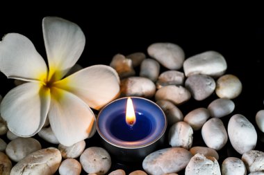Plumeria çiçek kokulu mumlar